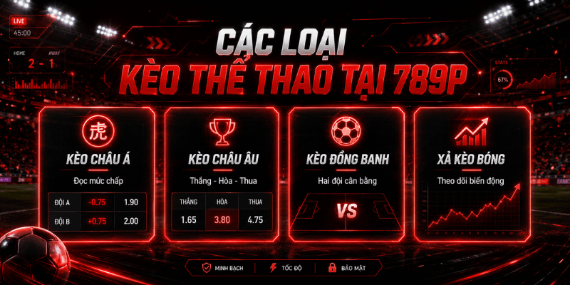Thể Thao 789P – Cách Đọc Kèo, Chọn Kèo Và Theo Dõi Trận - BILECA.SBS