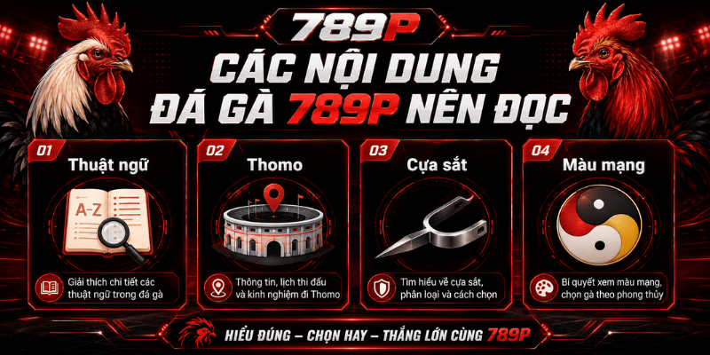 Đá Gà 789P – Thuật Ngữ, Cách Xem Trận Và Lưu Ý - BILECA.SBS