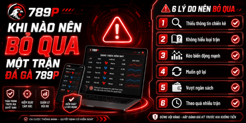 Đá Gà 789P – Thuật Ngữ, Cách Xem Trận Và Lưu Ý - BILECA.SBS