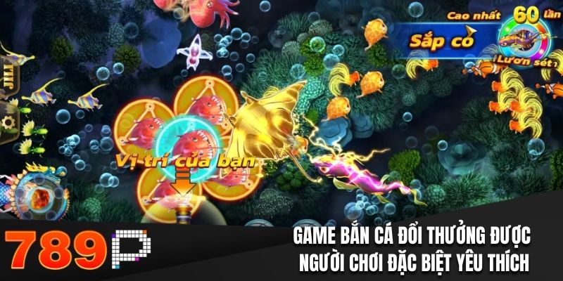 Bắn Cá Đổi Thưởng - Bỏ Túi Các Chiến Thuật Siêu Kinh Điển - BILECA.SBS Bắn Cá Đổi Thưởng - Bỏ Túi Các Chiến Thuật Siêu Kinh Điển - BILECA.SBS
