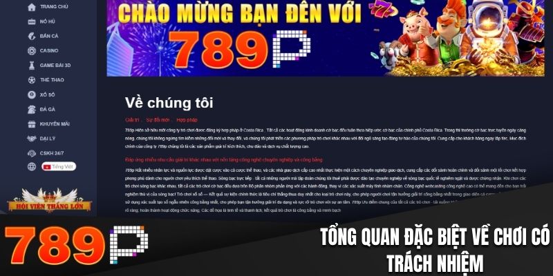 Chơi Có Trách Nhiệm Tại 789P – Những Điều Bạn Cần Biết - BILECA.SBS Chơi Có Trách Nhiệm Tại 789P – Những Điều Bạn Cần Biết - BILECA.SBS