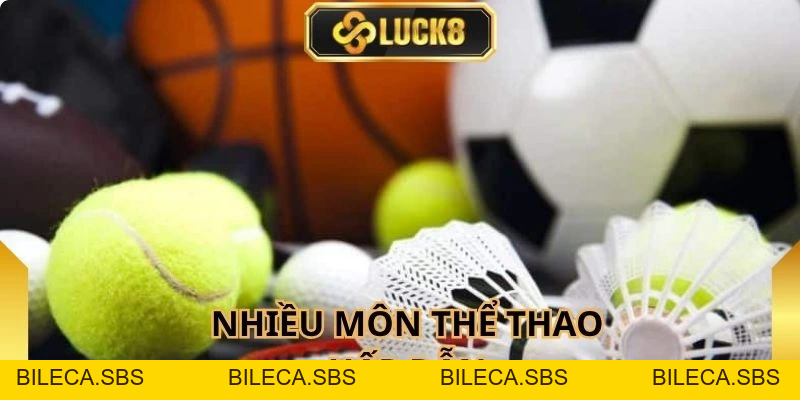 Sbobet Luck8 - Sảnh Thể Thao Có Tỷ Lệ Cược Cực Cao - BILECA.SBS
