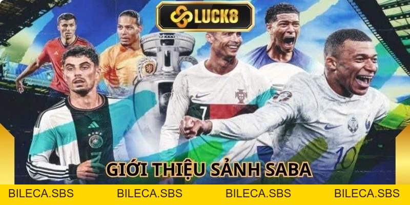 Saba Sports Luck8 - Sảnh Thể Thao Uy Tín Thị Trường Châu Á - BILECA.SBS
