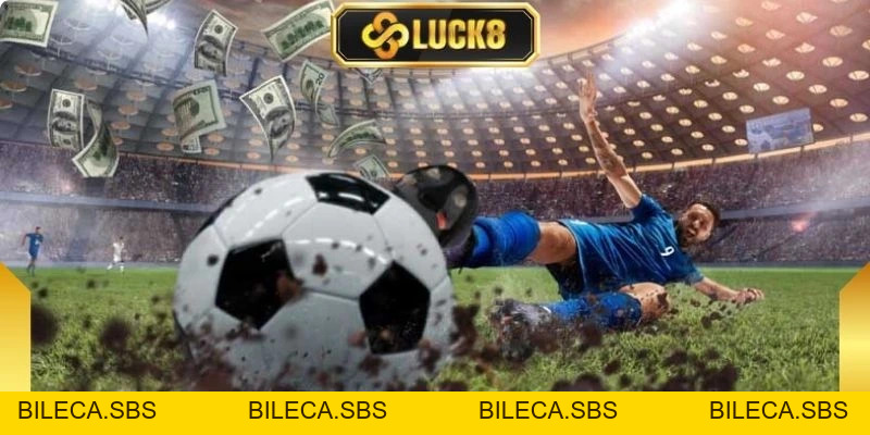 Sbobet Luck8 - Sảnh Thể Thao Có Tỷ Lệ Cược Cực Cao - BILECA.SBS