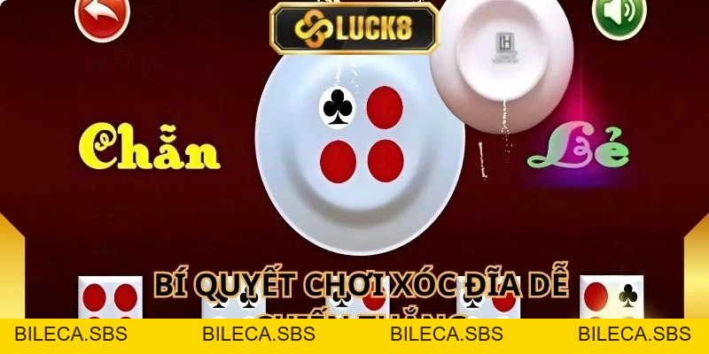 Xóc Đĩa Luck8 - Bí Kíp Đặt Cược Chuẩn Xác Từ Chuyên Gia - BILECA.SBS