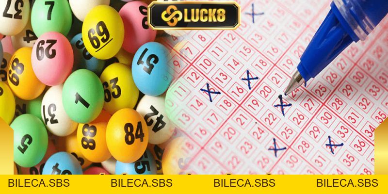 Xỉu Chủ Là Gì? Bí Kíp Soi Cầu Hấp Dẫn Nhất Hiện Nay Từ Luck8 - BILECA.SBS
