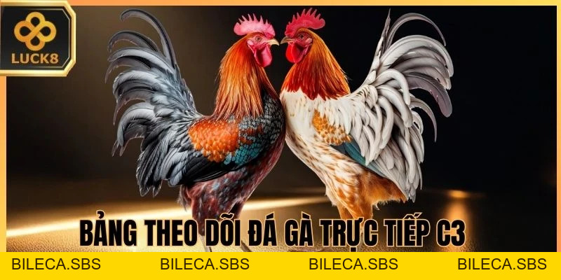 Đá Gà Trực Tiếp C3 LUCK8 - Thắng Nhanh, Thắng Đậm Tức Thì - BILECA.SBS