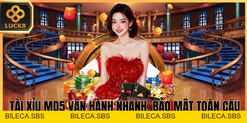 Tài Xỉu MD5 - Trang Web Hội Tụ Các Nhà Cái Đạt Chuẩn - BILECA.SBS