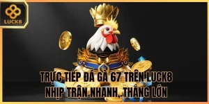 Đá Gà Luck8 - Đấu Trường Kịch Tính Săn Thưởng Cực Đỉnh - BILECA.SBS