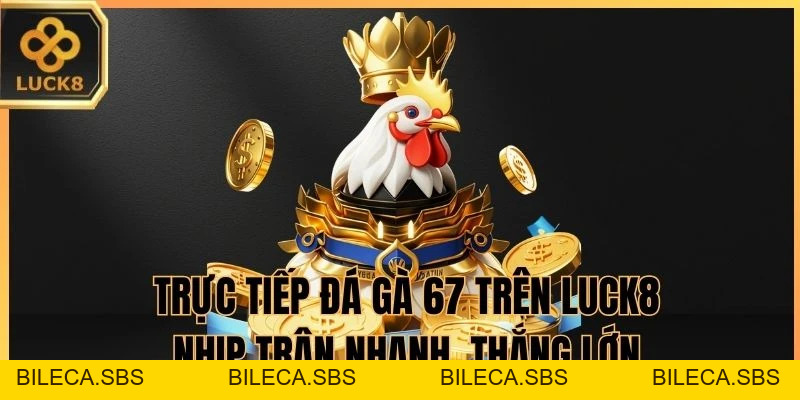 Trực Tiếp Đá Gà 67 Trên LUCK8 - Nhịp Trận Nhanh, Thắng Lớn - BILECA.SBS