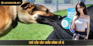 Xổ Số Luck8 - Sảnh Soi Cầu Rinh Thưởng Cực Khủng Về Tay - BILECA.SBS