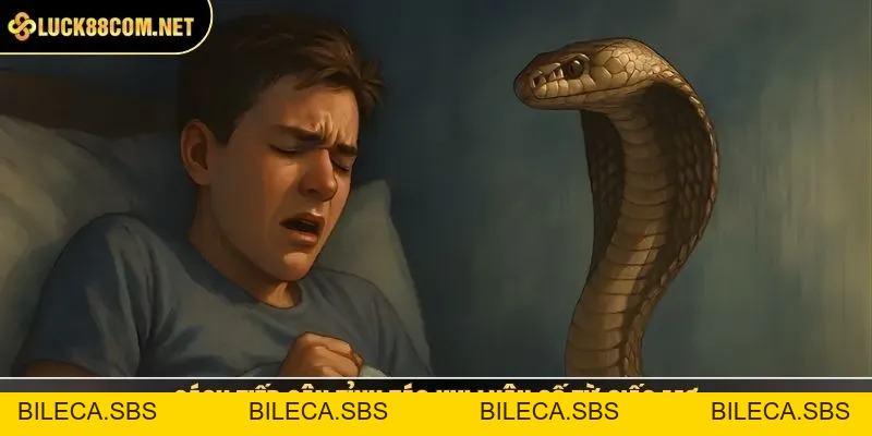 Rắn Cắn Đánh Số Gì? Giải Mã Giấc Mơ Chi Tiết, Dễ Hiểu - BILECA.SBS