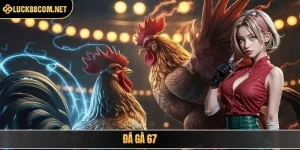 Luck8 ssn ⭐️ Link Trang Chủ Chính Thức Luck8.com – Đăng Ký +88K - BILECA.SBS