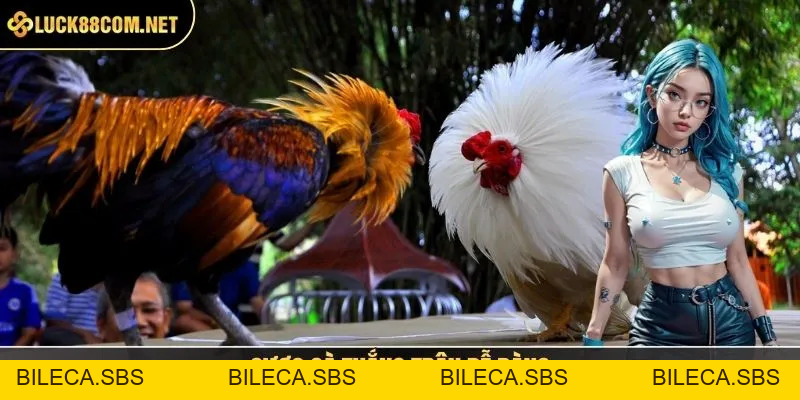 Đá Gà 67 - Tổng Hợp Trận Đấu Đỉnh Cao, Chuyên Nghiệp - BILECA.SBS