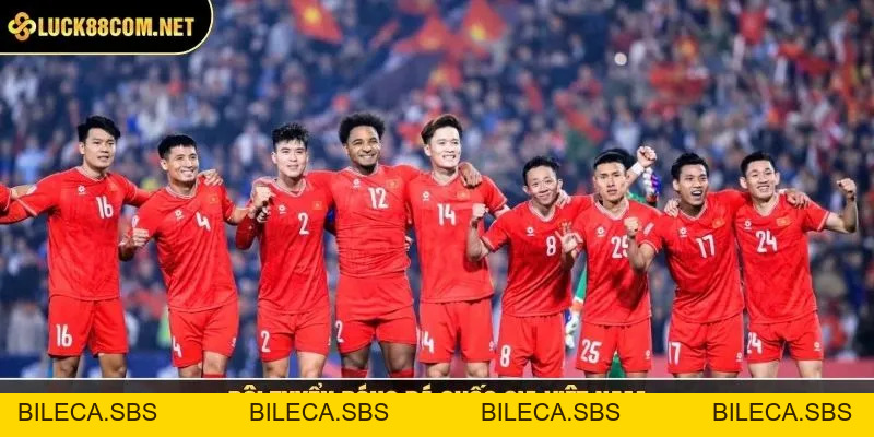 Đội Tuyển Bóng Đá Quốc Gia Việt Nam - Tin Mới 2026 - BILECA.SBS
