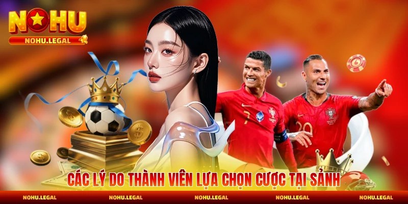 thể thao Nohu - BILECA.SBS