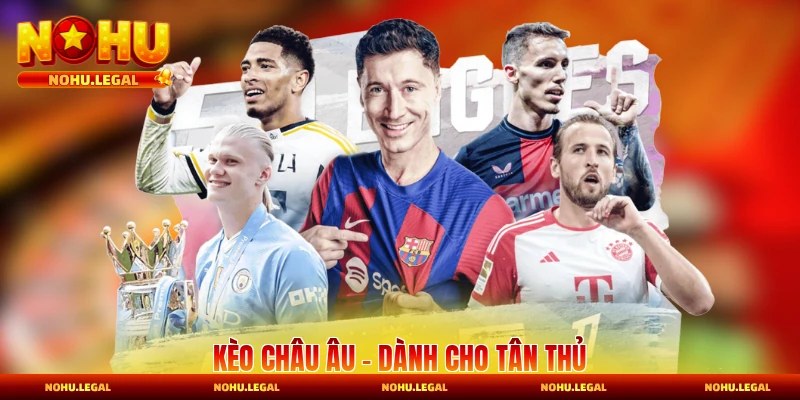 thể thao Nohu - BILECA.SBS