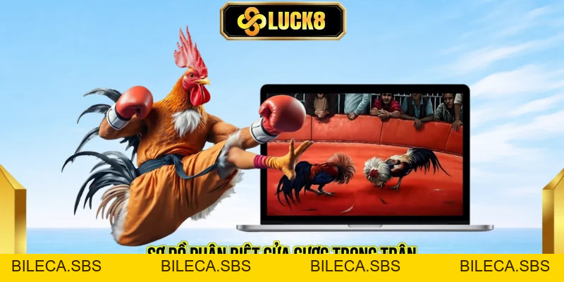Gà Chọi Athien Và Cách Chinh Phục Mức Thưởng Giới Hạn - BILECA.SBS